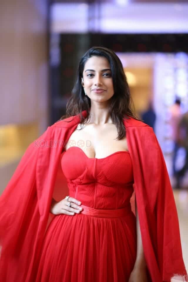 Sexy Meenakshi Chaudhary at SIIMA Press Meet Photos 31