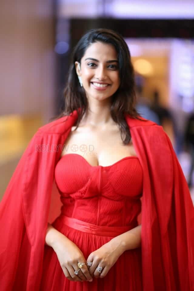 Sexy Meenakshi Chaudhary at SIIMA Press Meet Photos 34