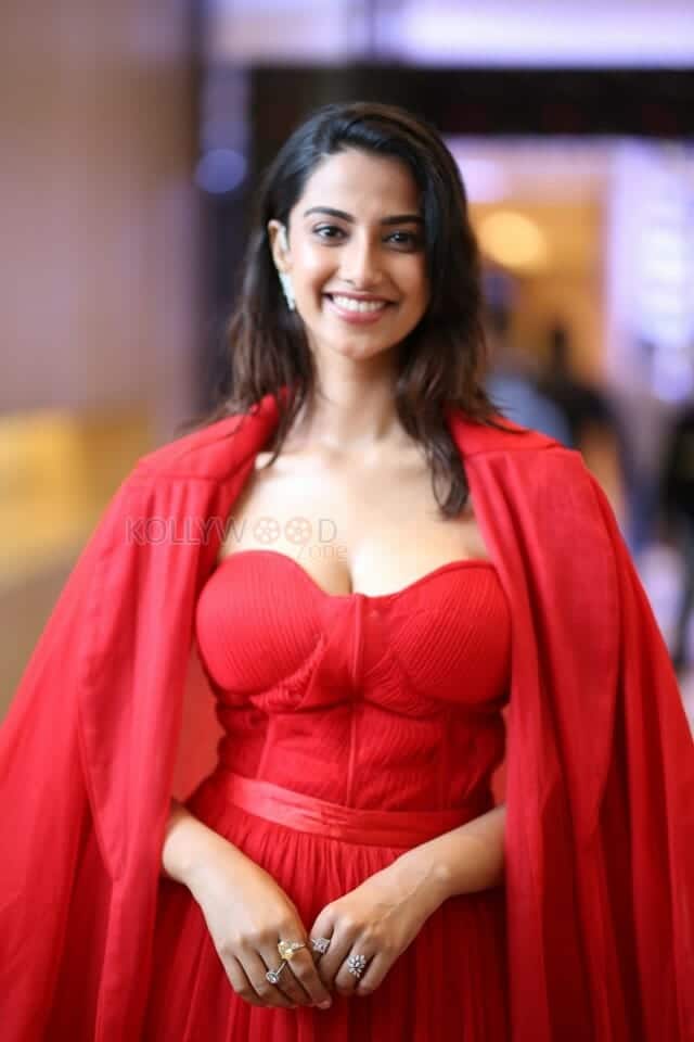 Sexy Meenakshi Chaudhary at SIIMA Press Meet Photos 34