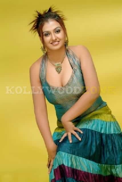 Sexy Sona Stills 046