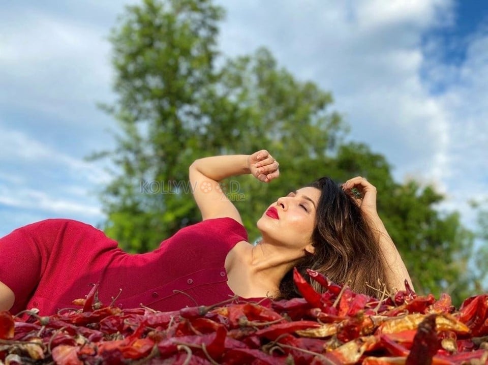 Spicy Hot Sonarika Bhadoria Photos 01
