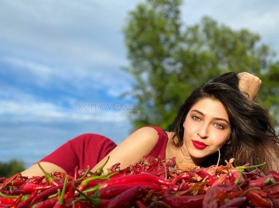 Spicy Hot Sonarika Bhadoria Photos 02
