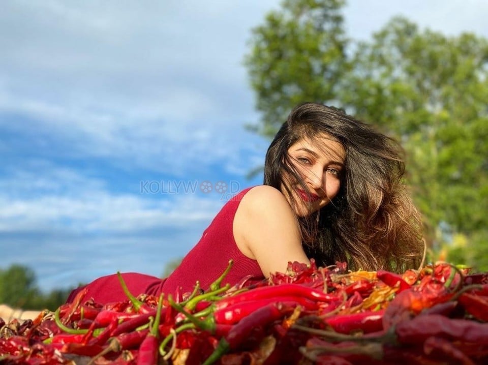 Spicy Hot Sonarika Bhadoria Photos 03