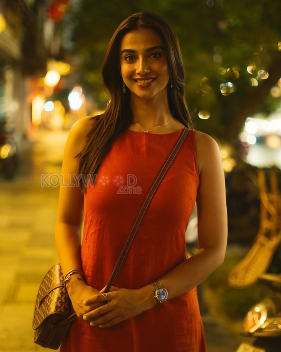 Meenakshi Chaudhary
