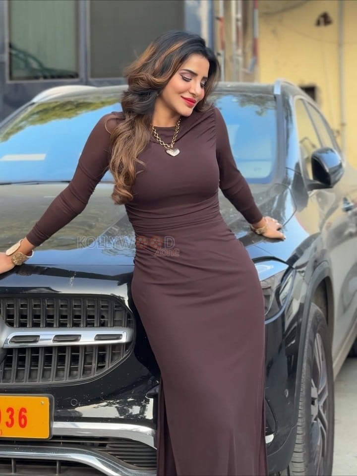 Desirable Ashu Reddy in a Brown Long Sleeved Bodycon Maxi Dress Pictures 03
