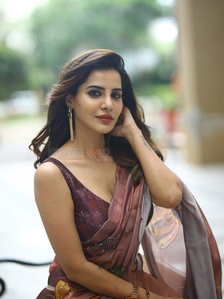 Glamorous Ashu Reddy in a Brown Floral Saree with a Sleeveless Blouse Photos 03