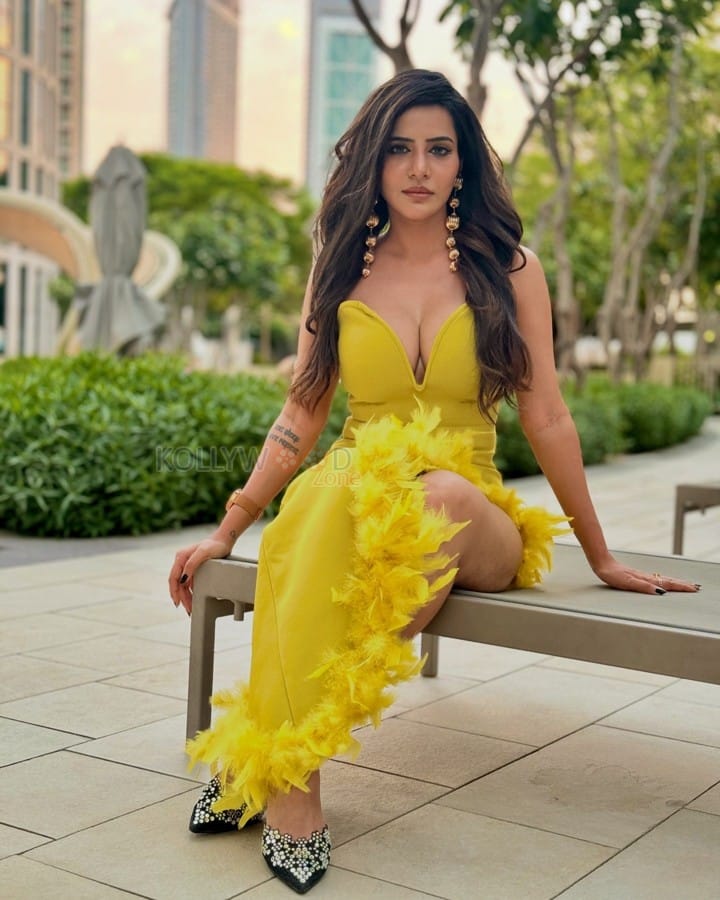 Glamourous Ashu Reddy in a Yellow Dress with Feather Border Photos 01