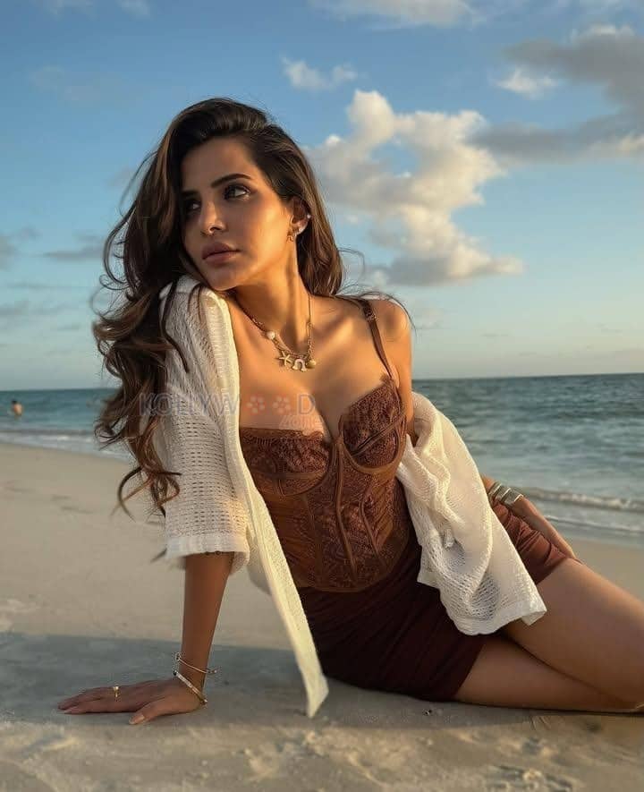 Sizzling Ashu Reddy in a Brown Corset Dress and White Shrug Photos 01