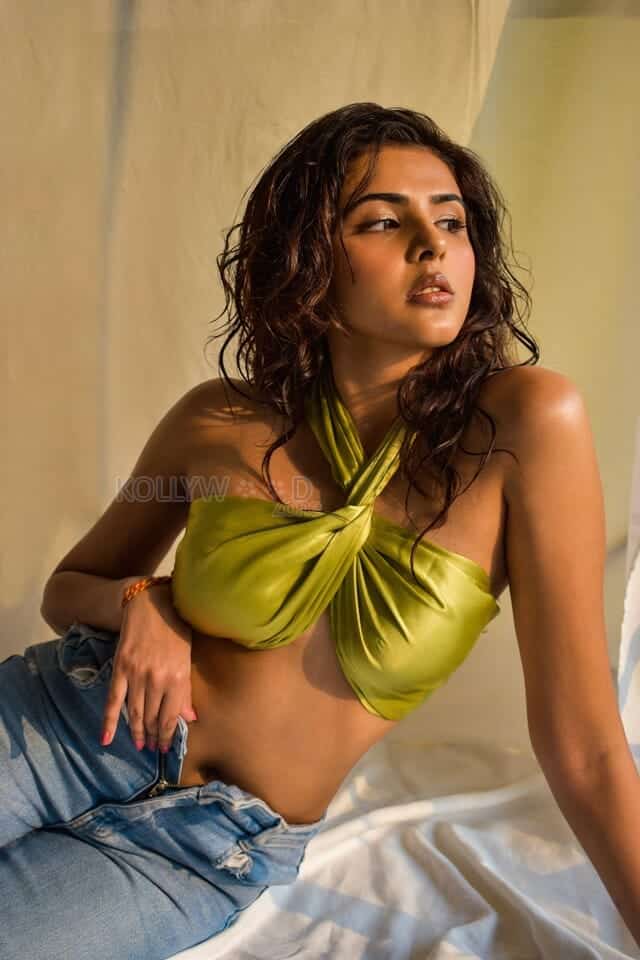 Actress Aishwarya Sharma Sexy Photoshoot Pictures 03