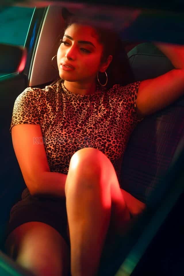 Malayalam Actress Ameya Mathew Photoshoot Pictures 02