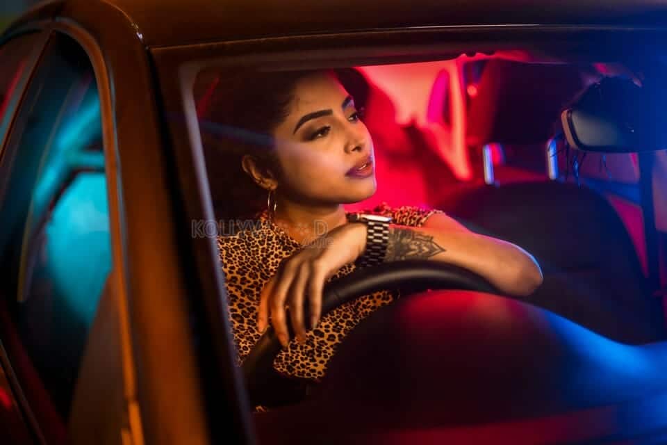 Malayalam Actress Ameya Mathew Photoshoot Pictures 03