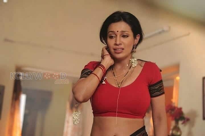 Actress Asha Saini Spicy Hot Saree Cleavage Pictures 05
