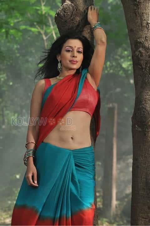 Actress Asha Saini Spicy Hot Saree Cleavage Pictures 06