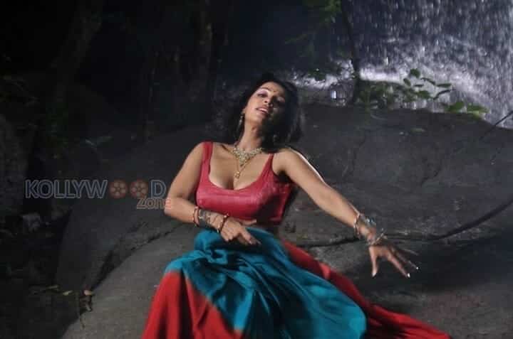 Actress Asha Saini Spicy Hot Saree Cleavage Pictures 07