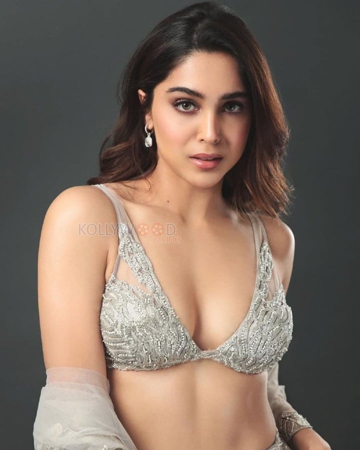 Hot Sharvari Wagh in a Silver Grey Lehenga with a Cleavage Bralette and Sheer Dupatta Photos 04