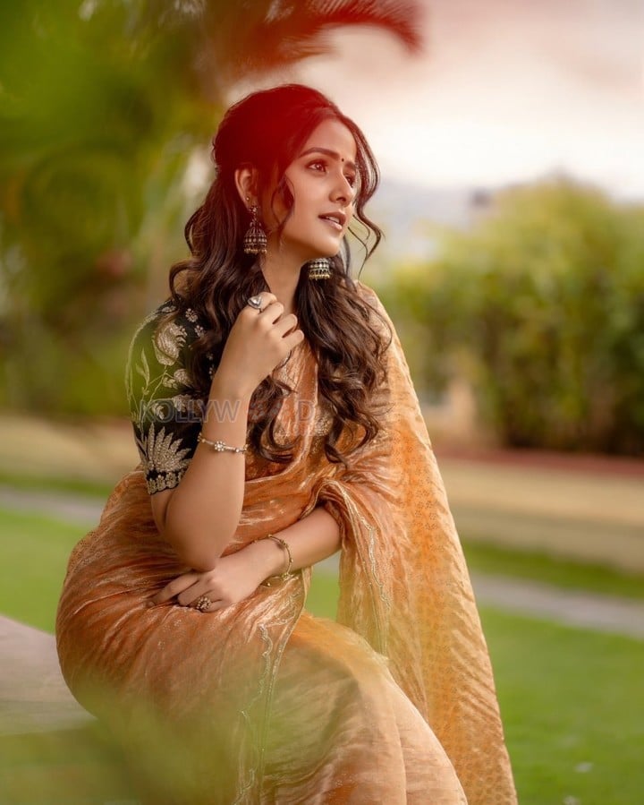 Love Me Actress Vaishnavi Chaitanya in an Orange Saree Pictures 03