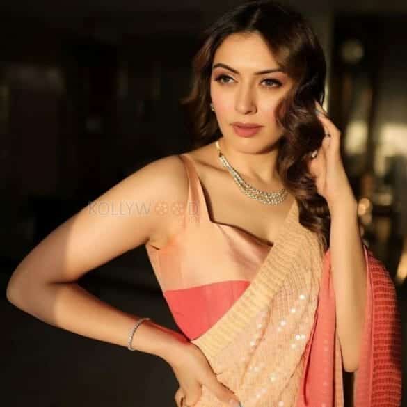 Exciting updates about Hansika Motwani’s next!