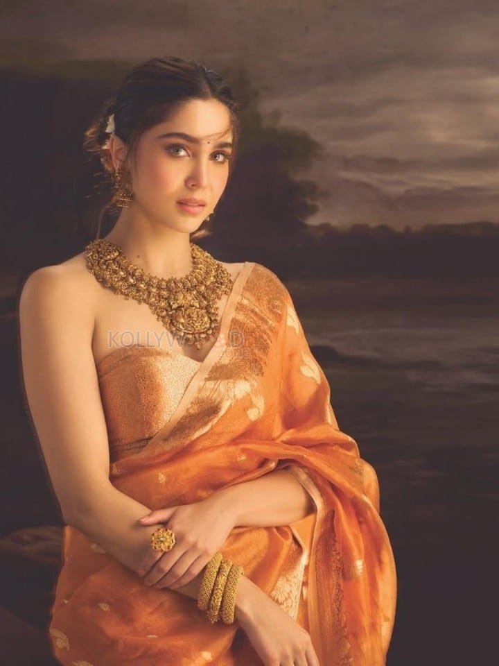 Photogenic Sharvari Wagh in an Orange Saree with a Strapless Blouse Photos 01