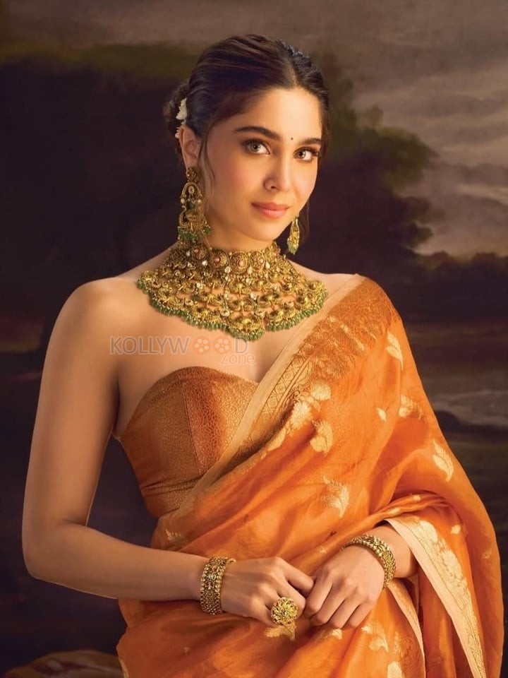 Photogenic Sharvari Wagh in an Orange Saree with a Strapless Blouse Photos 02