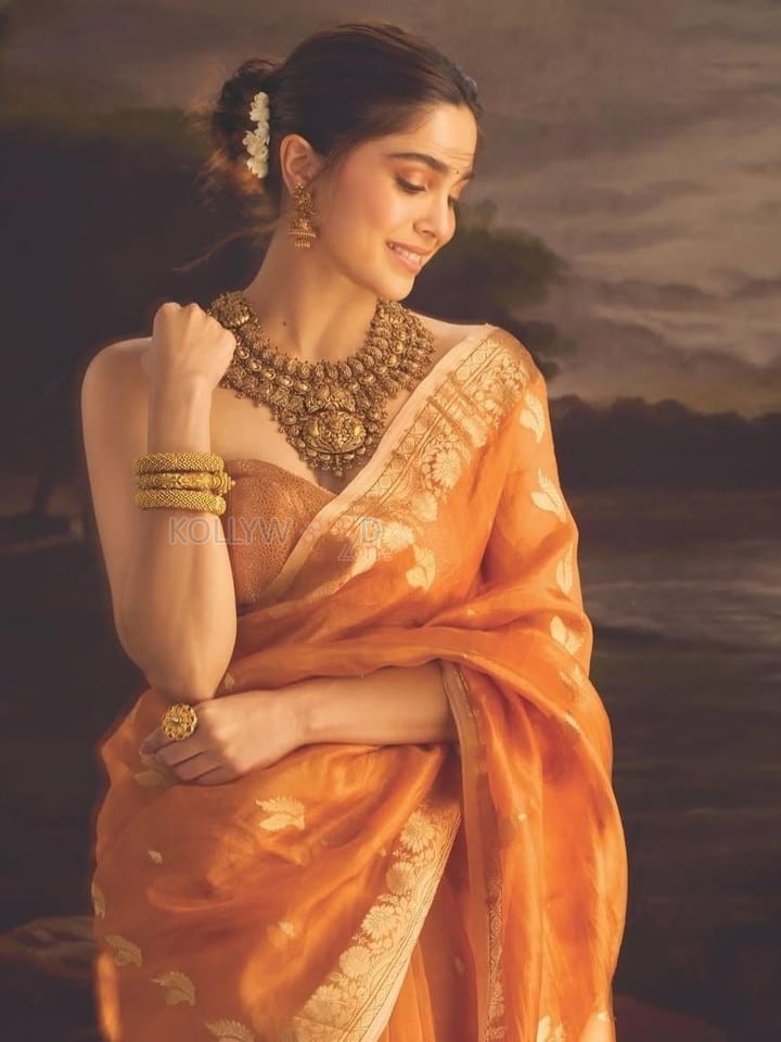 Photogenic Sharvari Wagh in an Orange Saree with a Strapless Blouse Photos 03