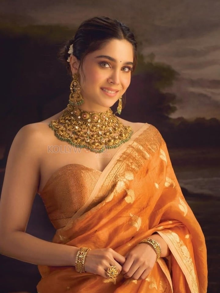Photogenic Sharvari Wagh in an Orange Saree with a Strapless Blouse Photos 04
