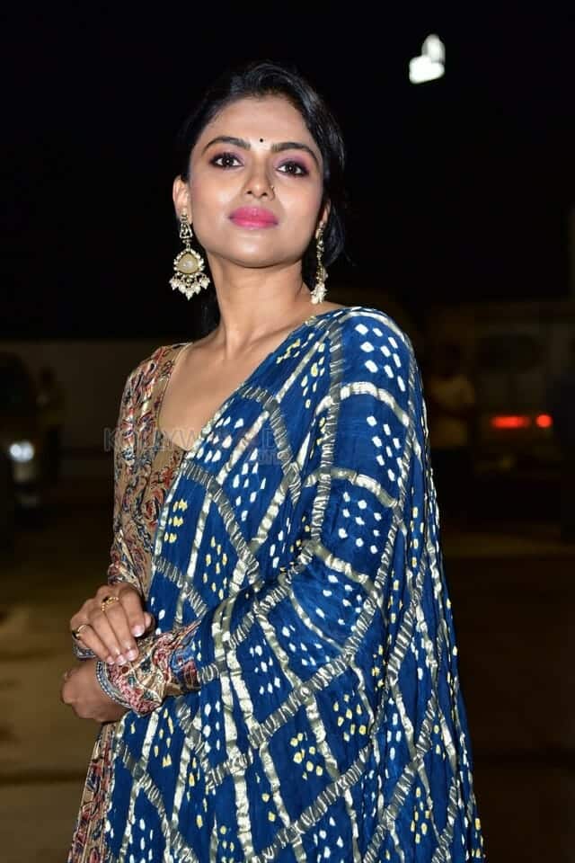 Actress Ganavi Laxman at Rudrangi Pre Release Event Stills 08