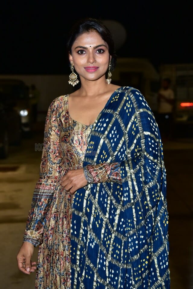 Actress Ganavi Laxman at Rudrangi Pre Release Event Stills 12