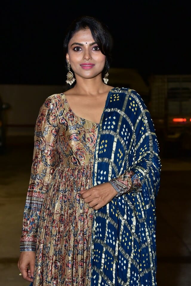 Actress Ganavi Laxman at Rudrangi Pre Release Event Stills 13