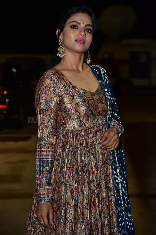 Actress Ganavi Laxman at Rudrangi Pre Release Event Stills 20