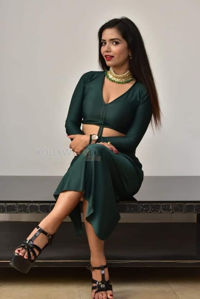 Actress Tripti Shukla at Tarakasura Movie Press Meet Photos 16