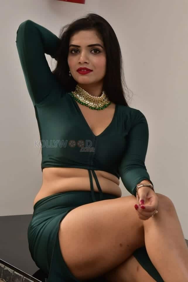 Actress Tripti Shukla at Tarakasura Movie Press Meet Photos 26