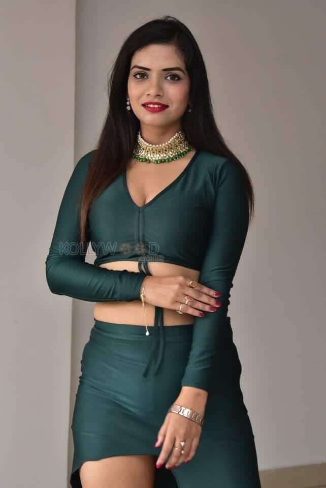 Actress Tripti Shukla at Tarakasura Movie Press Meet Photos 49