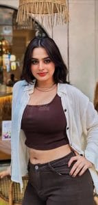 Gangs Of Godavari Actress Ayesha Khan Sexy In A Brown Crop Top And