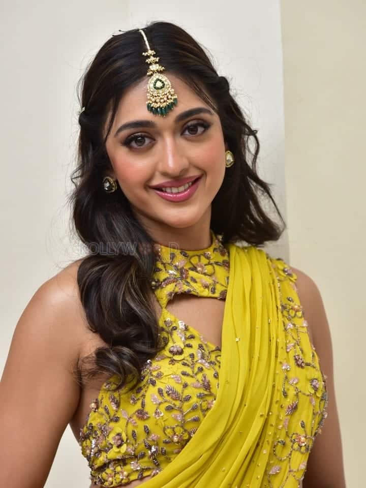 Actress Gayatri Bhardwaj at Tiger Nageswara Rao Pre Release Event Photos 16