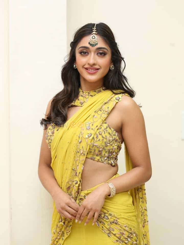 Actress Gayatri Bhardwaj at Tiger Nageswara Rao Pre Release Event Photos 27