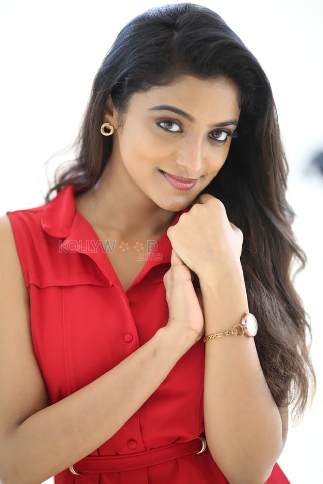 Heroine Roopa Koduvayur at Sarangapani Jathakam Success Meet Photos 13