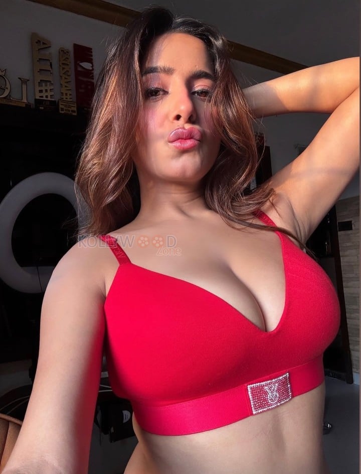 Hot Kate Sharma in a Red Bra Pictures 03
