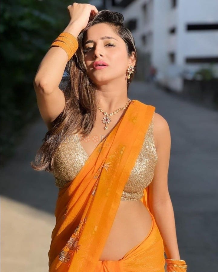 Hot Kate Sharma in an Orange Saree Photos 03