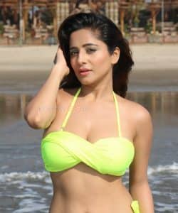 Kate Sharma