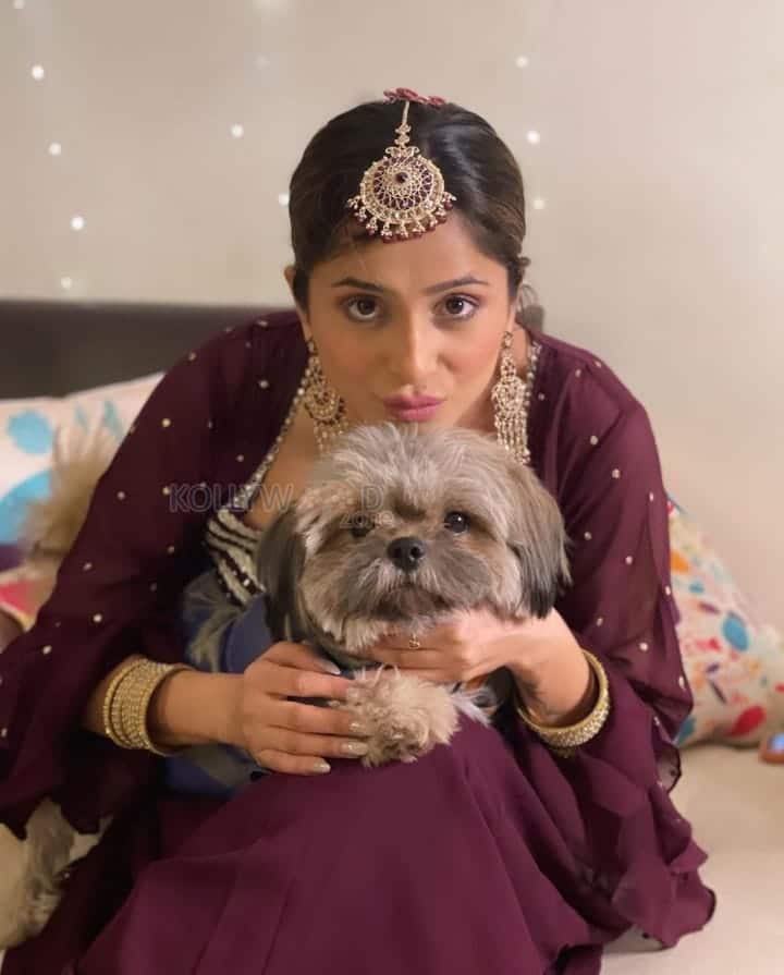 Sexy Kate Sharma in Hot Diwali Photoshoot Pictures 02