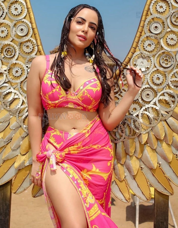 Beauty Queen Aanchal Munjal in a Pink and Yellow Bikini Swimsuit Photos 02