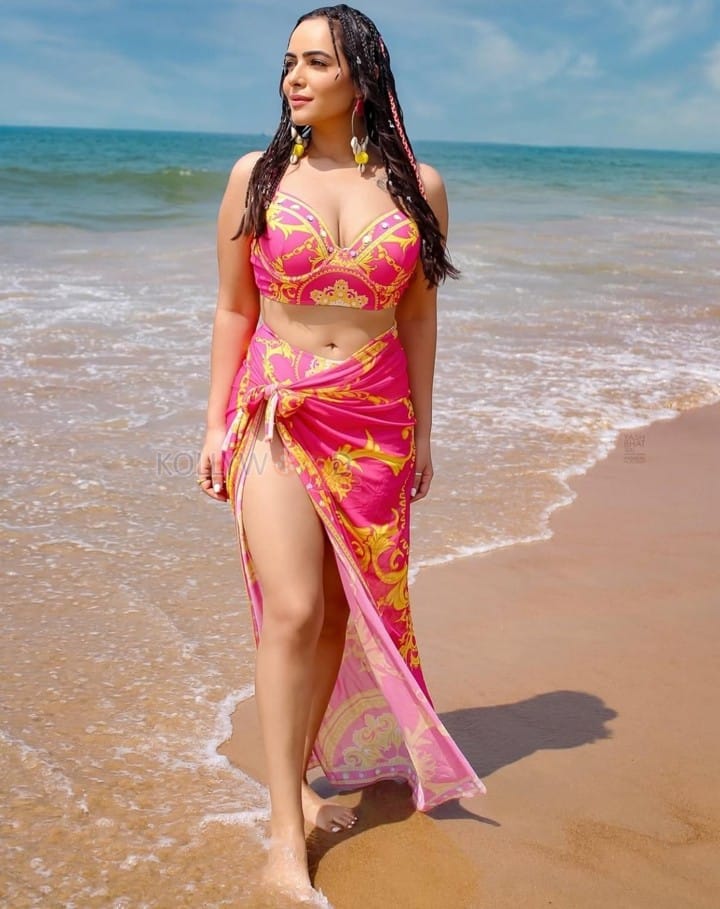 Beauty Queen Aanchal Munjal in a Pink and Yellow Bikini Swimsuit Photos 03