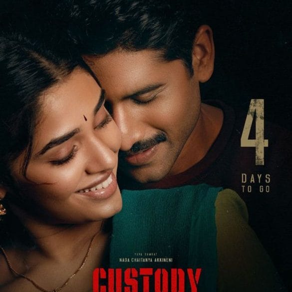 Custody Movie Review