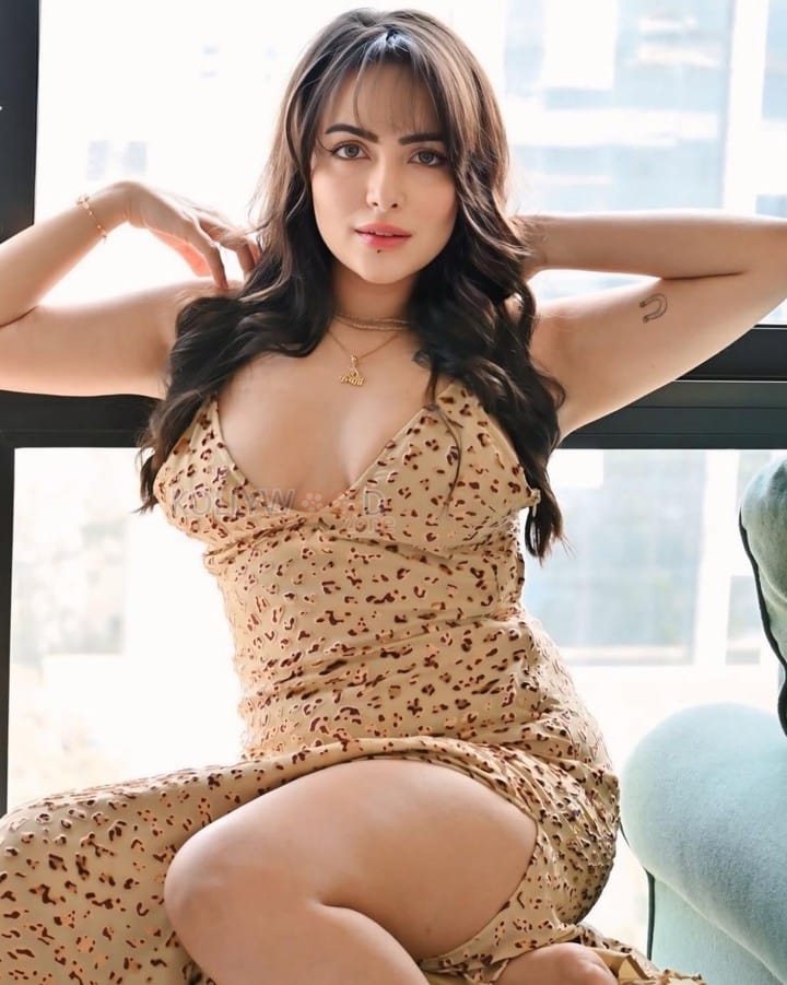 Hot Aanchal Munjal in an Animal Printed Velvet Maxi Dress Photos 02