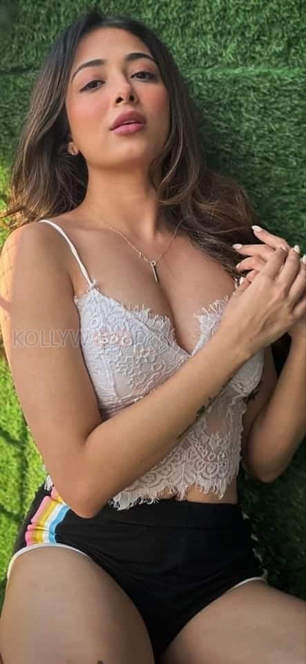 Hot Afreen Alvi in a White Bralette Photos 04