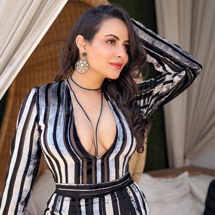 Sexy Aanchal Munjal Cleavage in a Striped Dress Pictures 04