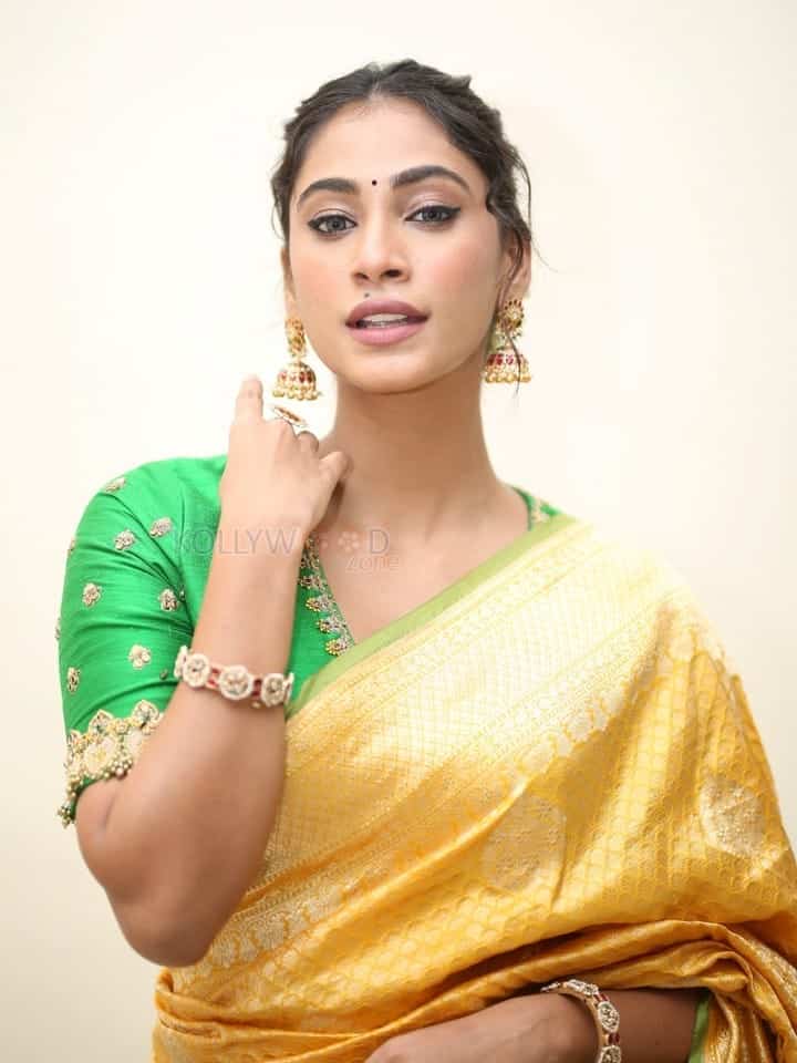 Actress Anukreethy Vas at Tiger Nageswara Rao Pre Release Event Stills 06