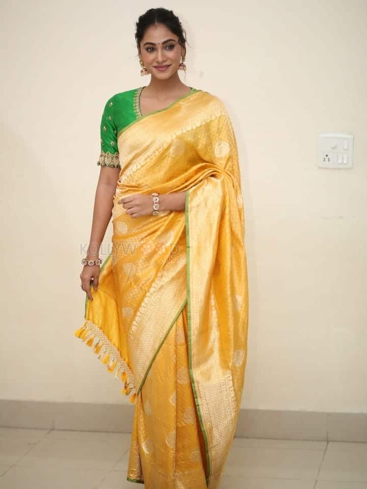 Actress Anukreethy Vas at Tiger Nageswara Rao Pre Release Event Stills 12