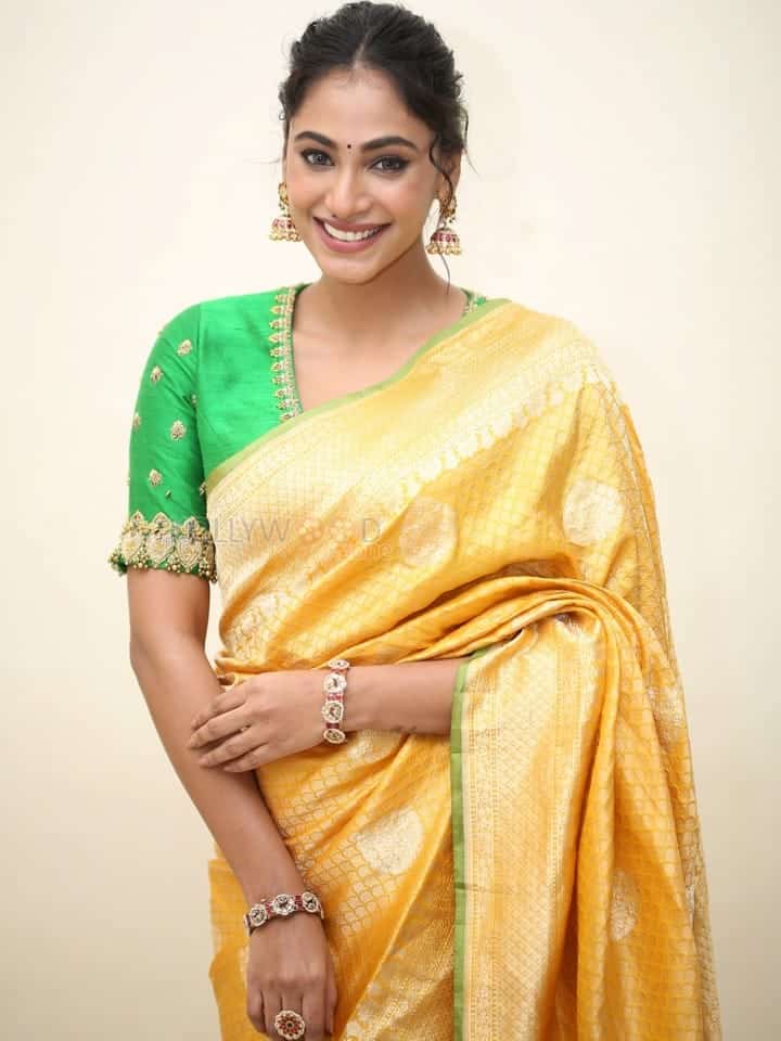 Actress Anukreethy Vas at Tiger Nageswara Rao Pre Release Event Stills 17