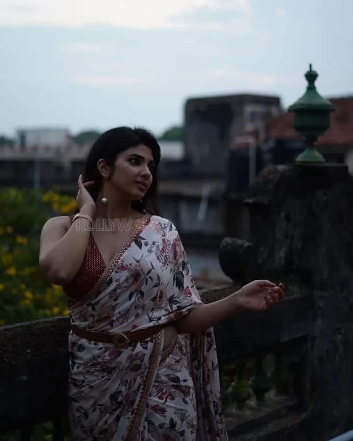 Beautiful Pragya Nagra in a Printed Saree Pictures 05
